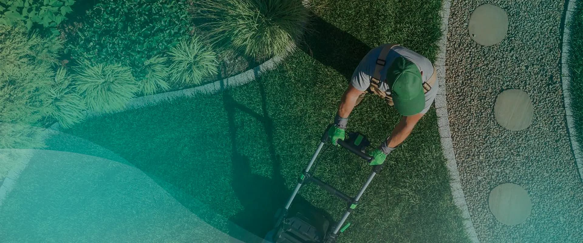 Professional lawn care service